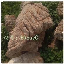 ѡ
