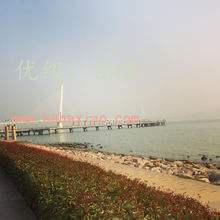 ѡ