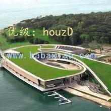 Ҿ