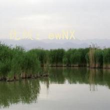 ۼ
