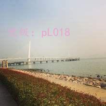 μ