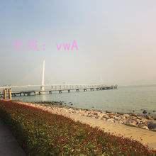 ѡ