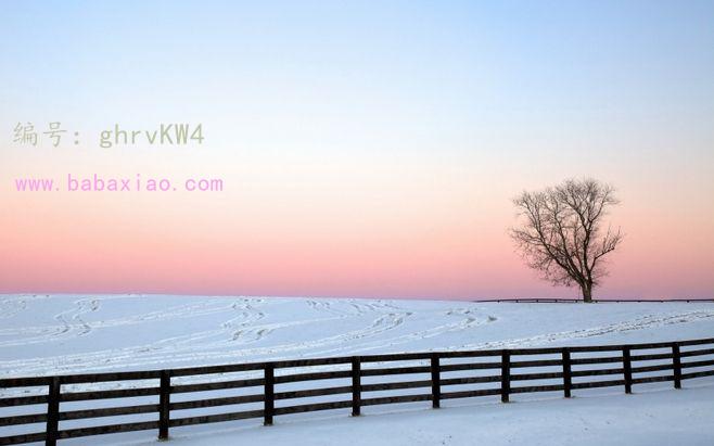ҵ
