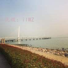 ѡ