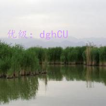 ̬