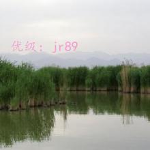 ź