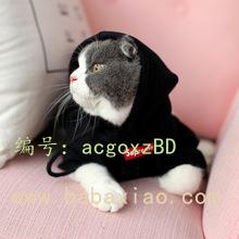 ѡ