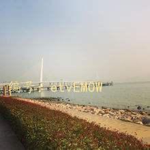 ҵ