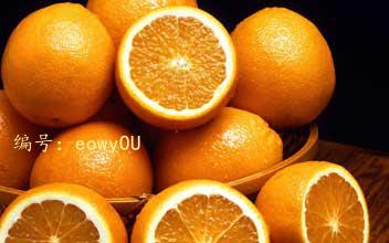 Ų